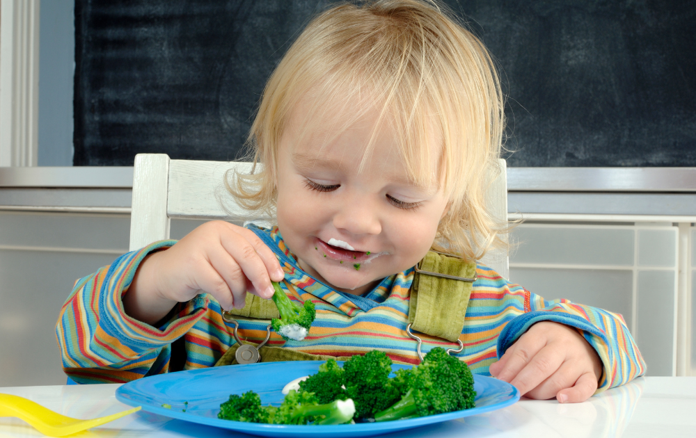 food for autism: picky eaters