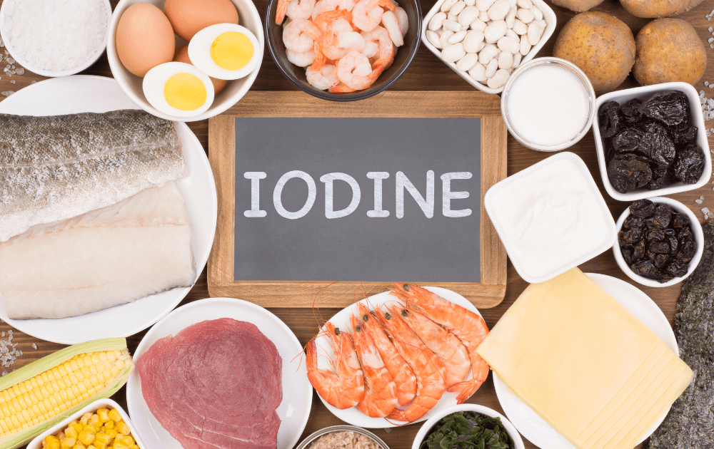 autism and iodine